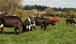 Grazing priority planner in dry weather